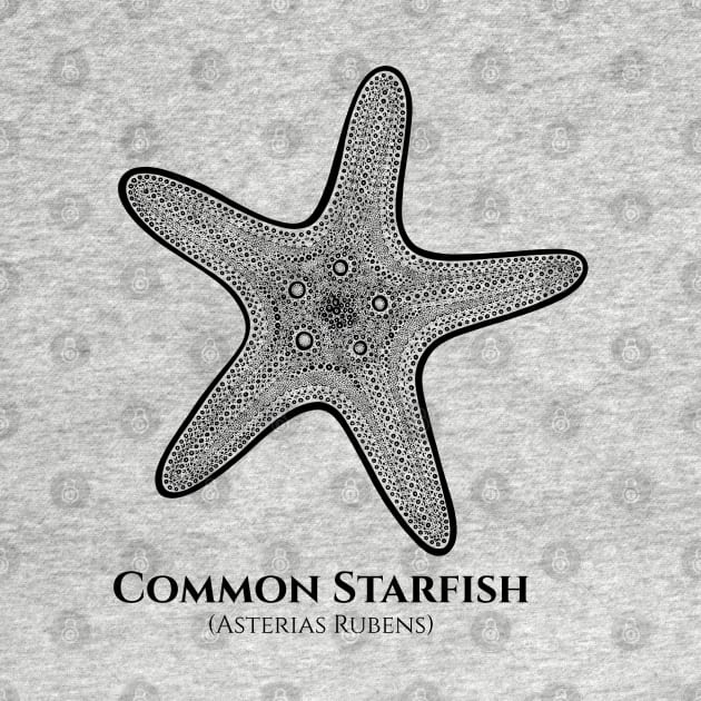 Common Starfish with Common and Latin Names - drawing by Green Paladin